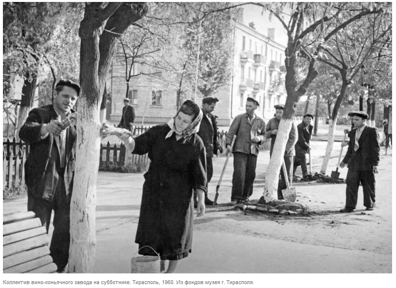  Коллектив вино коньячного завода на субботнике